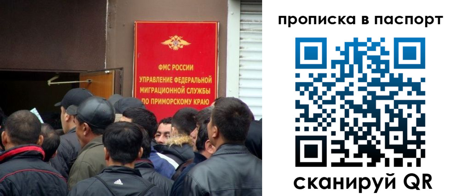 прописка поиск в Первомайске