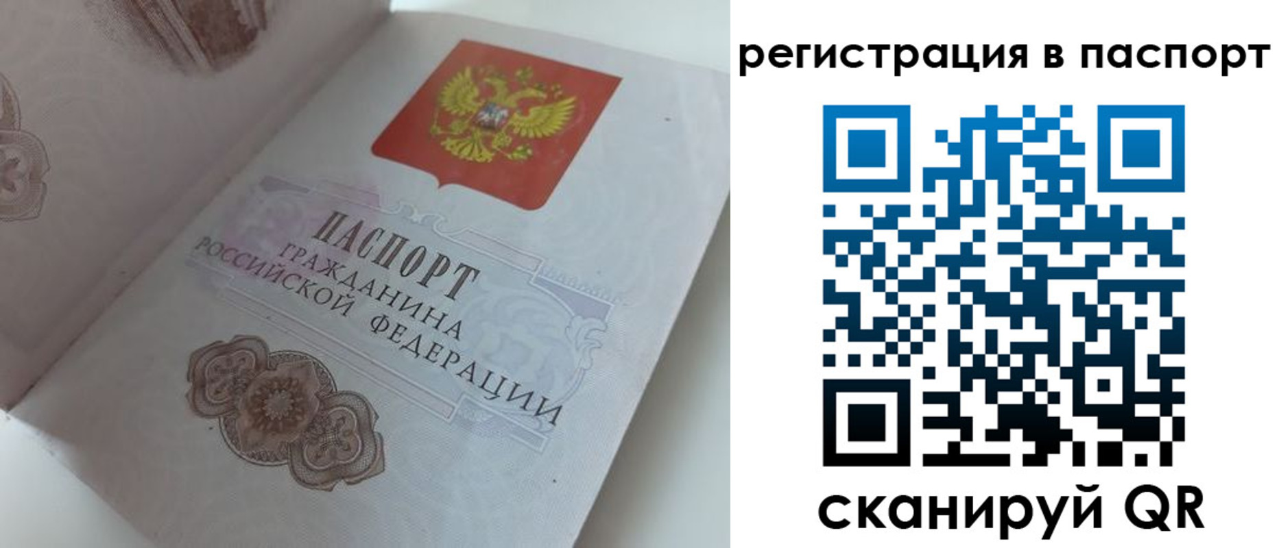 прописка регистрация в Первомайске